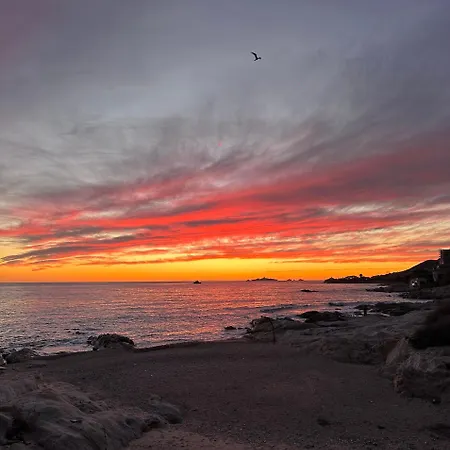 Casa Mare, Cabanon Sur La A Vue Sanguinaires 別荘 *